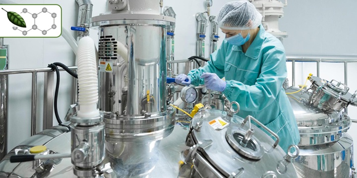 Expertise in Chemical Process